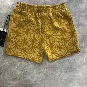 Tiny Tribe Pull On French Terry Cotton Shorts Palm Trees Boys 2T